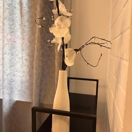 Comfort 1 Apartment