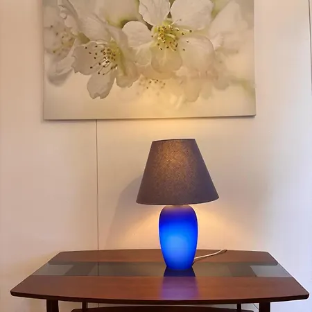 Comfort 1 Apartment *